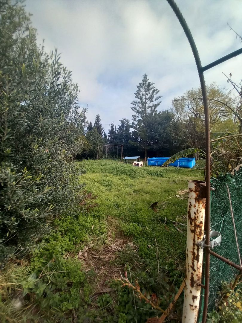 Finca rústica en venda en Mont-roig del Camp amb Calefacció i Jardí privat