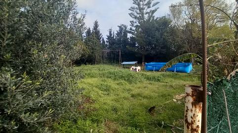 Foto 3 de Finca rústica en venda a Platja de Mont-roig, Mont-roig del Camp