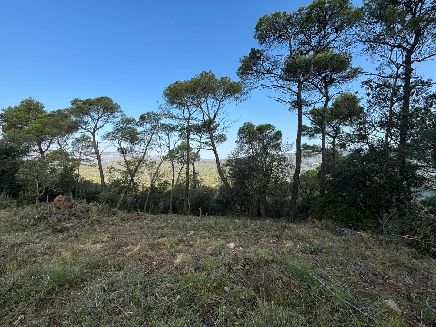 Residential land for sale in Carrer Pasarell, imagen 18