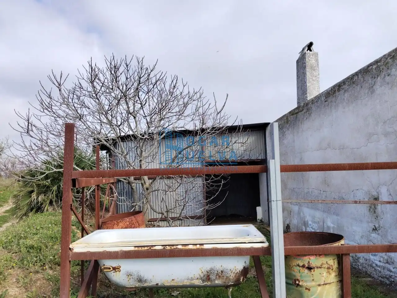 Vista exterior de Finca rústica en venda en Bollullos Par del Condado amb Terrassa