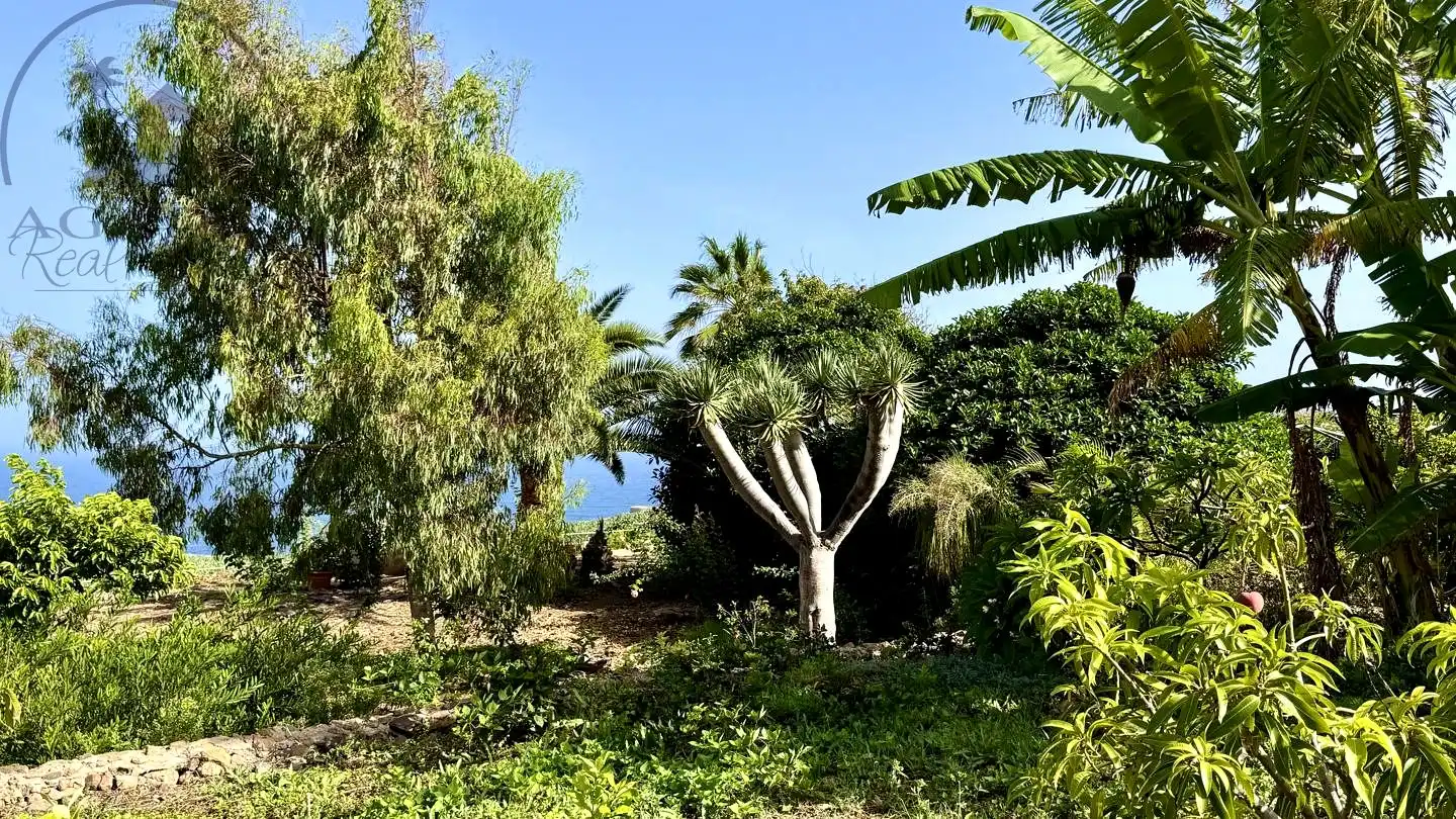 Jardí de Finca rústica en venda en Buenavista del Norte amb Jardí privat i Terrassa