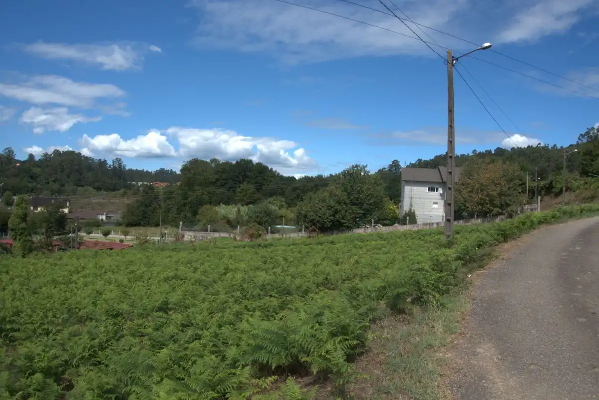 Terrains et parcelles à vendre à Mos, imagen 9