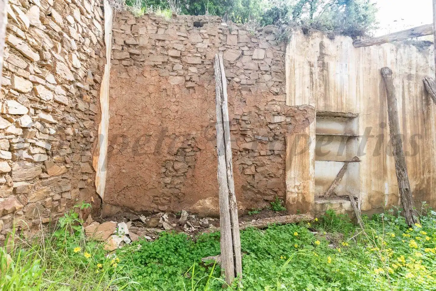 House with garden for sale in Sayalonga, imagen 4