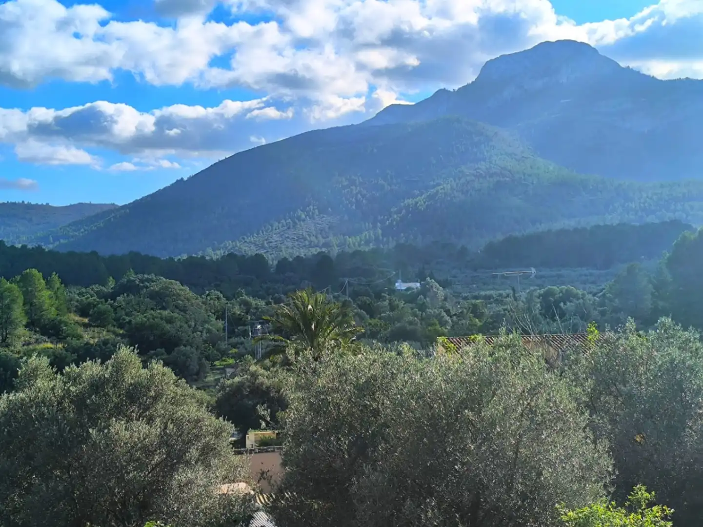 Villa avec piscine à vendre à Parcent, imagen 4