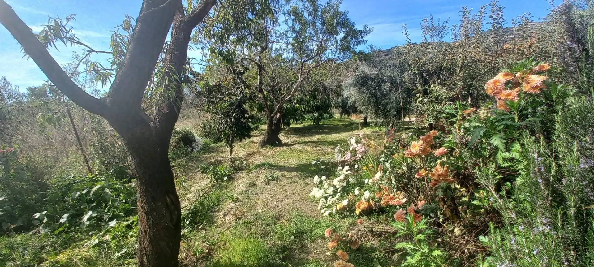 Casa rústica amb terrassa en venda a Cádiar, imagen 36