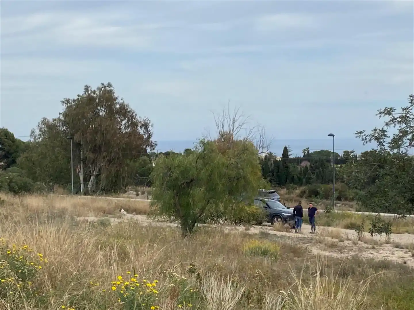 Terreno en venta en Escandinavia - Cautivador