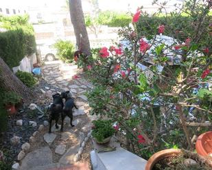 Casa o xalet en venda a Pino Alto