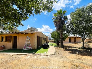 Casa rústica amb jardí en venda a Felanitx Poble