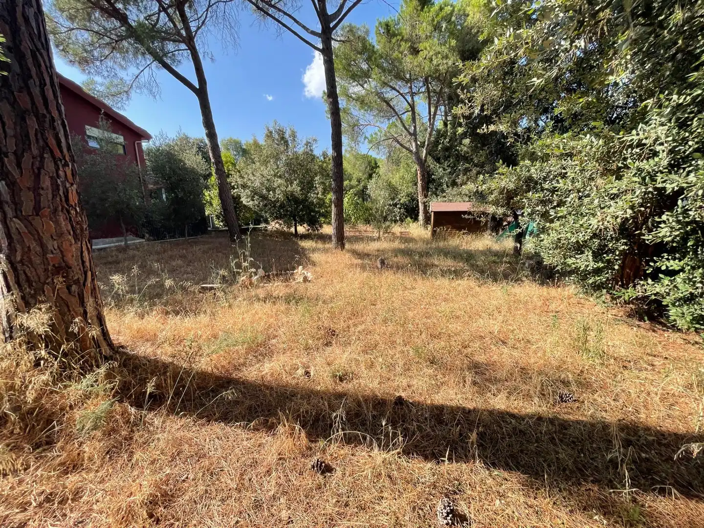 Terrenys i solars en venda a Collbató, imagen 3