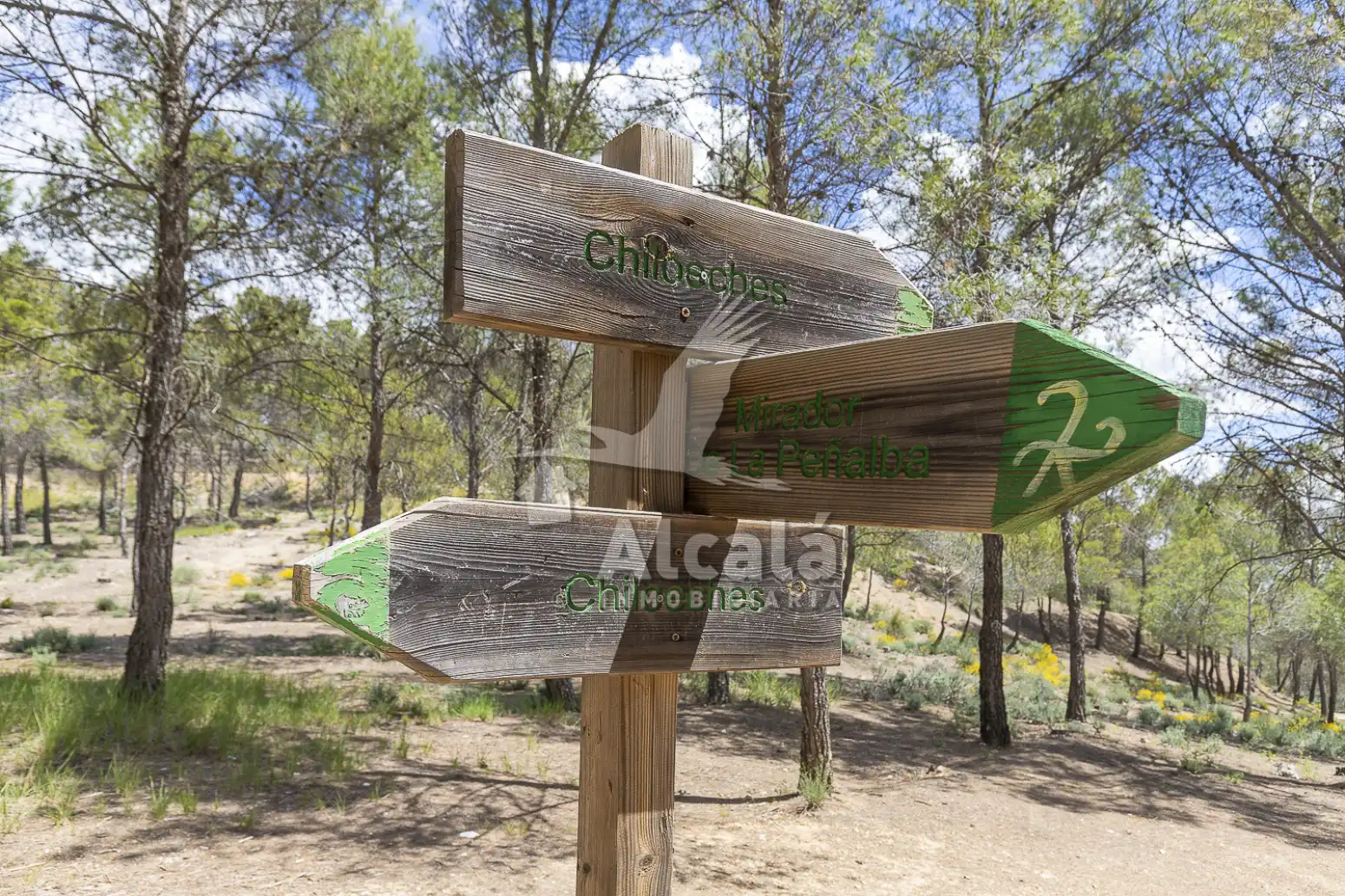 Vista exterior de Pis en venda en Chiloeches amb Calefacció, Traster i Balcó