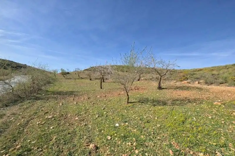 Terreni e lotti in vendita a Travesia Jose Mariano Vallejo, imagen 14