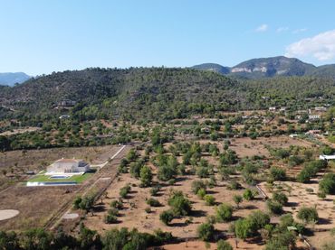 Terreny residencial en venda a Marratxinet