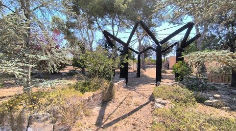 Foto 5 de Finca rústica en venta en El Rabal, Villena