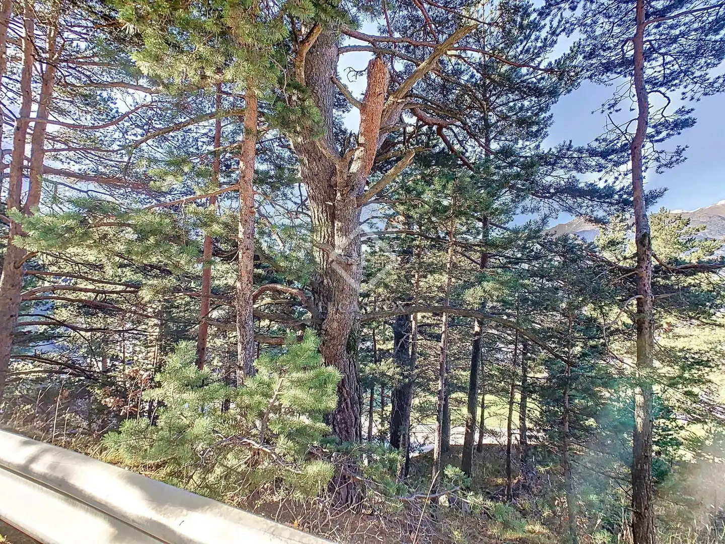 Rural land for sale in L'Aldosa - Anyós, imagen 10