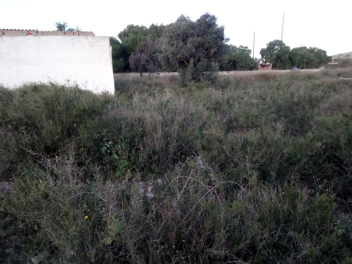 Country house zum Verkauf in Elche / Elx
