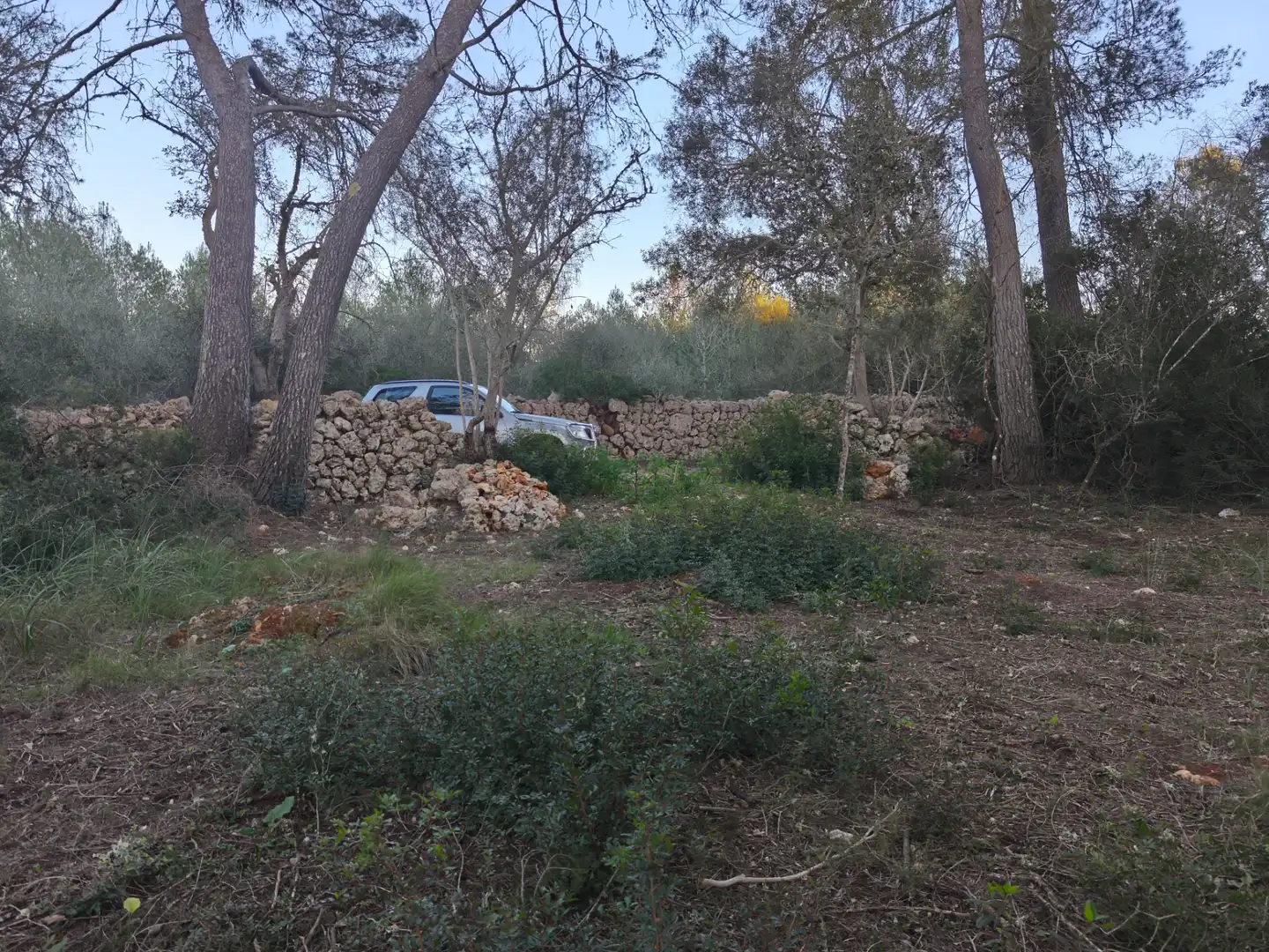 Terreno rustico in vendita a Algaida, imagen 8