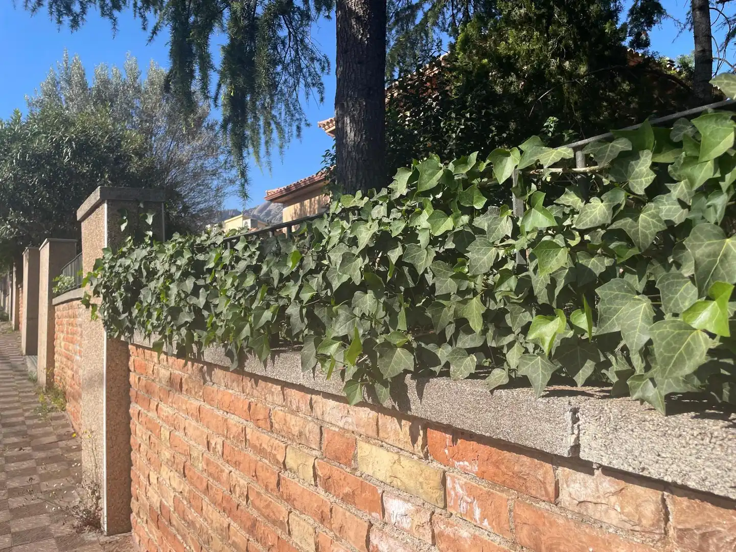 Chalet con piscina en venta en Carrer Catalunya, imagen 38