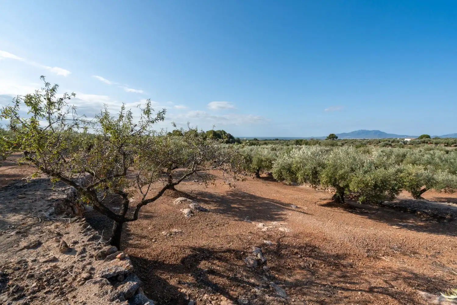 Country homes for sale in Camarles  with Storage room and Furnished