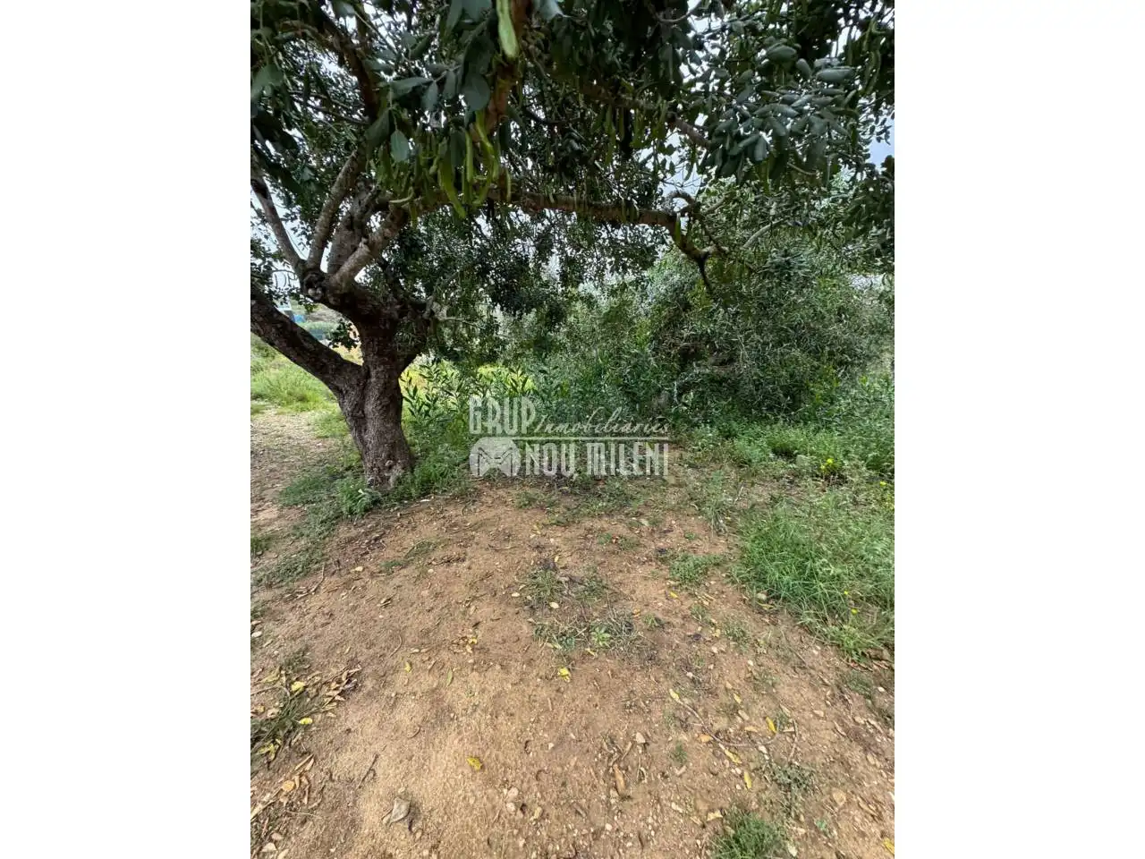 Finca rústica en venda en Montserrat amb Jardí privat