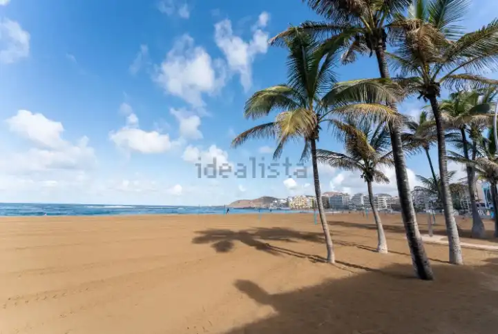 Vista exterior de Pis de lloguer en Las Palmas de Gran Canaria amb Aire condicionat, Terrassa i Moblat
