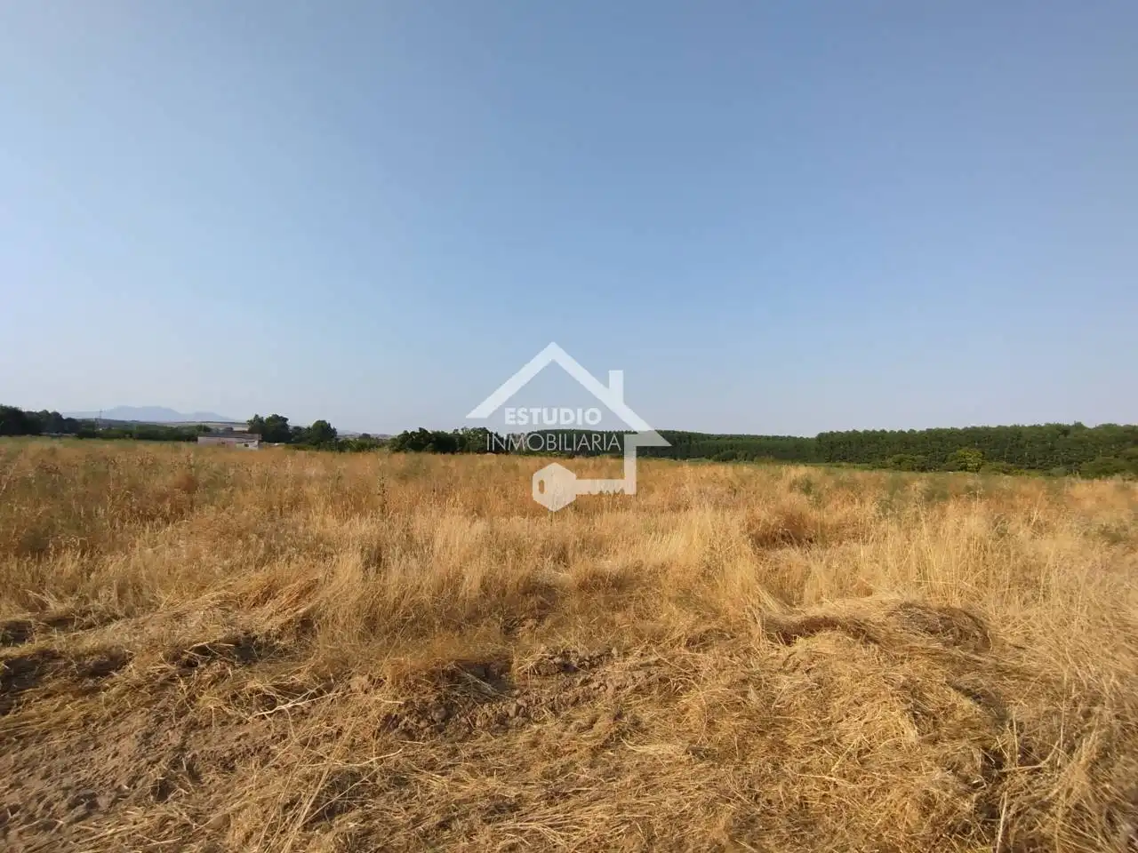 Rural land for sale in Viana, imagen 17