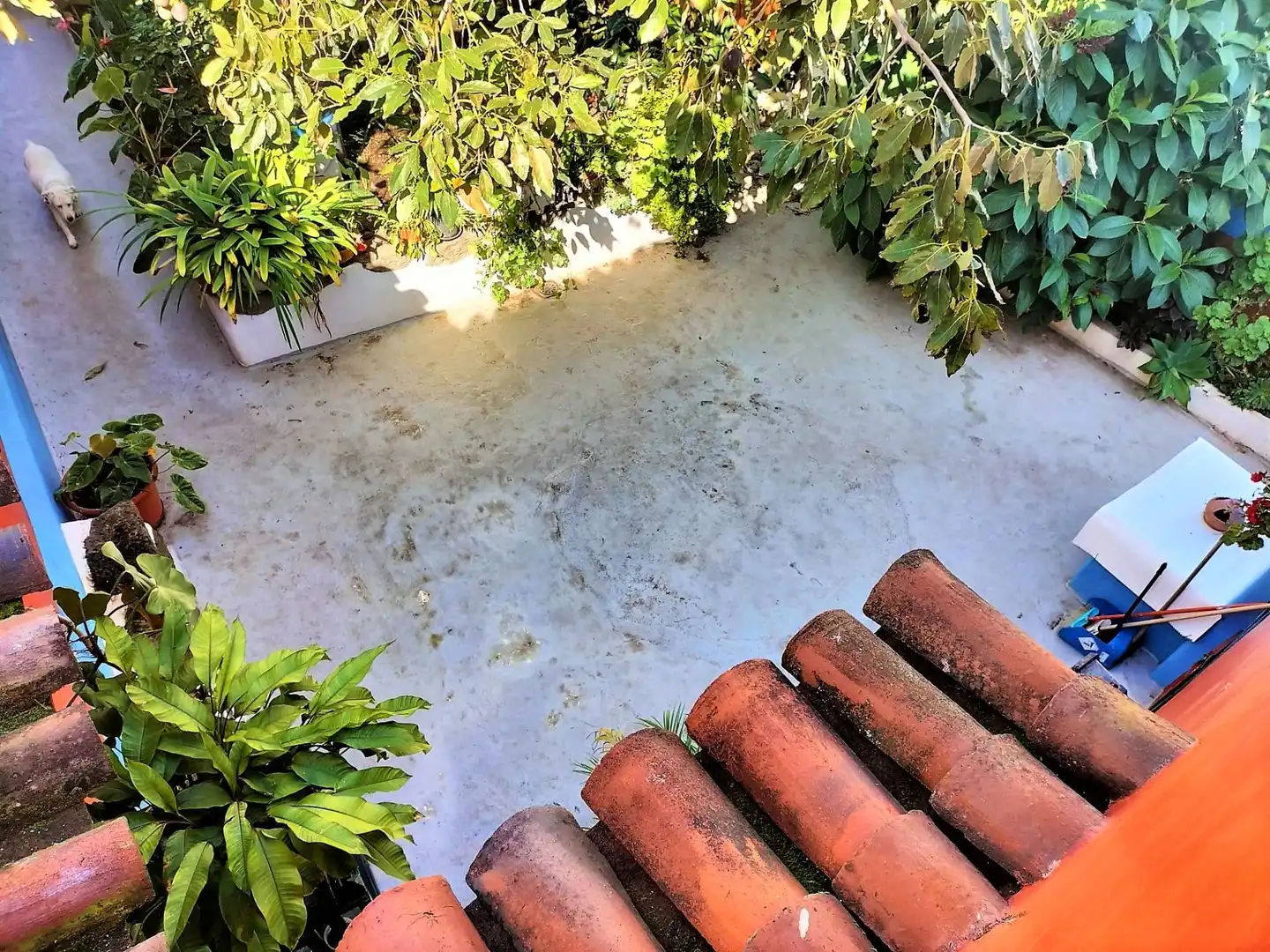 Terraza de Casa o chalet en venta en Los Realejos con Jardín privado y Trastero