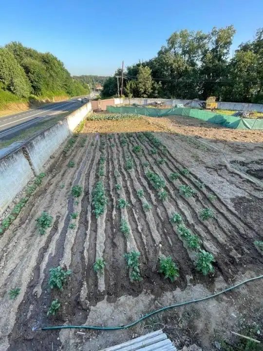 Terreni e lotti in vendita a Taboadela