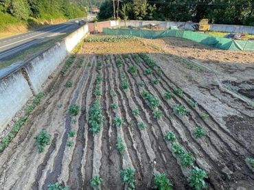 Terreni e lotti in vendita a Taboadela