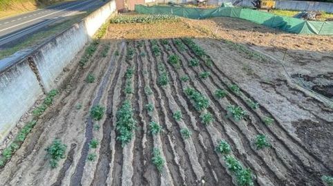 Oportunidad de Inversión en Taboadela Solar en Soutomaior a un Precio Atractivo
