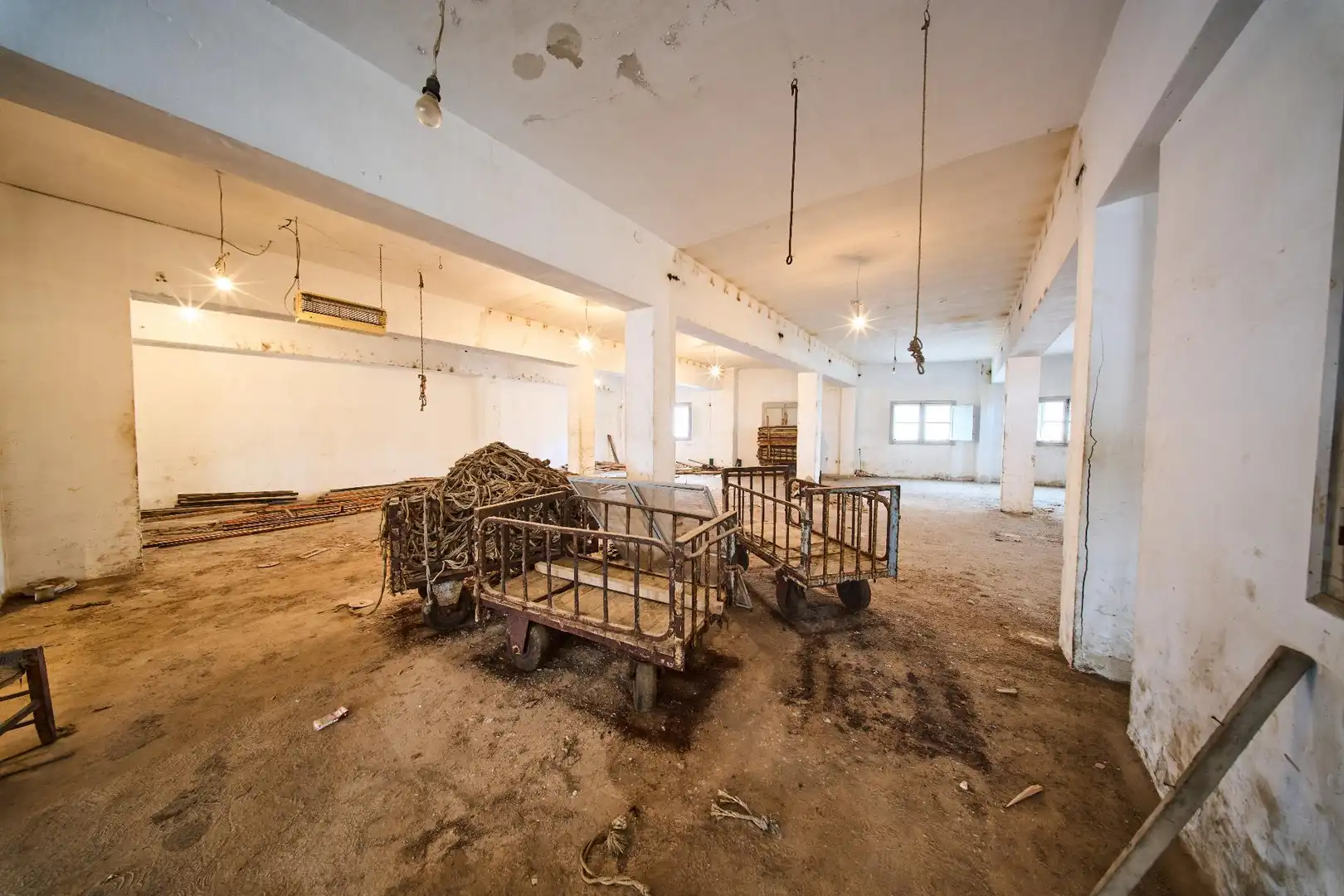 Inmuebles singulares con ascensor en venta en JOSE MORA, imagen 10