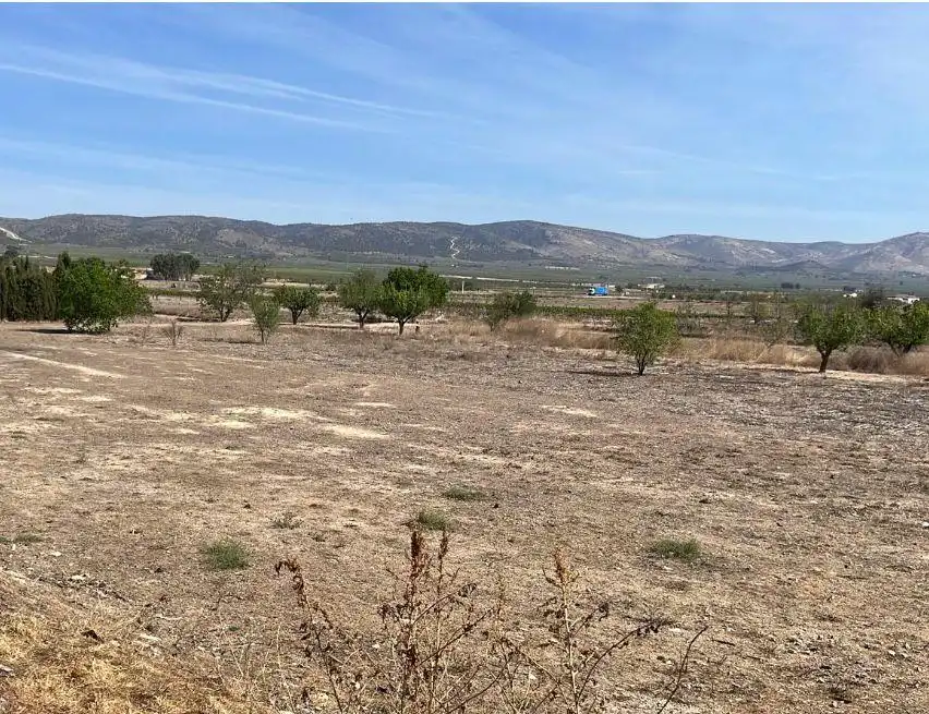Terrenos y solares en venta en Cañada, imagen 4