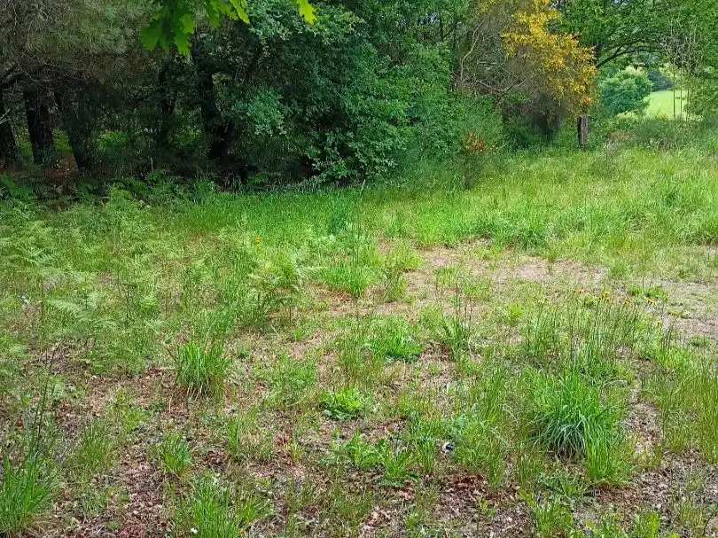 Rural land for sale in a peroxa 2, imagen 5