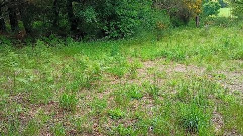 finca llana para construir casa  , immagine 5