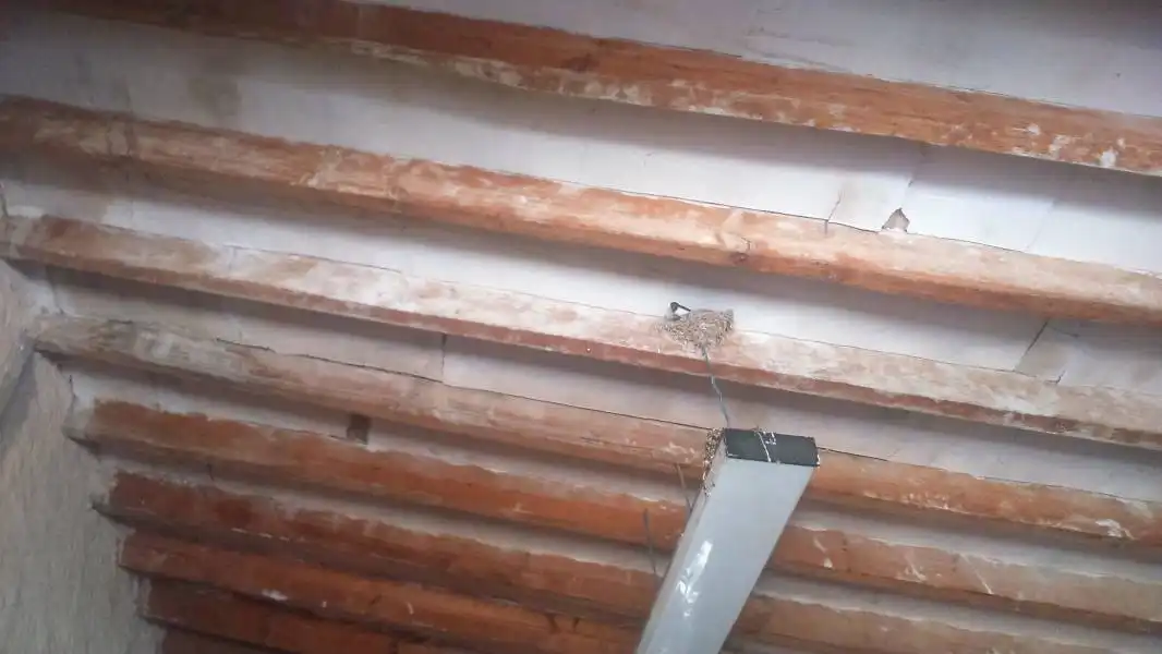 Casa rústica en venda a Algueña, imagen 23