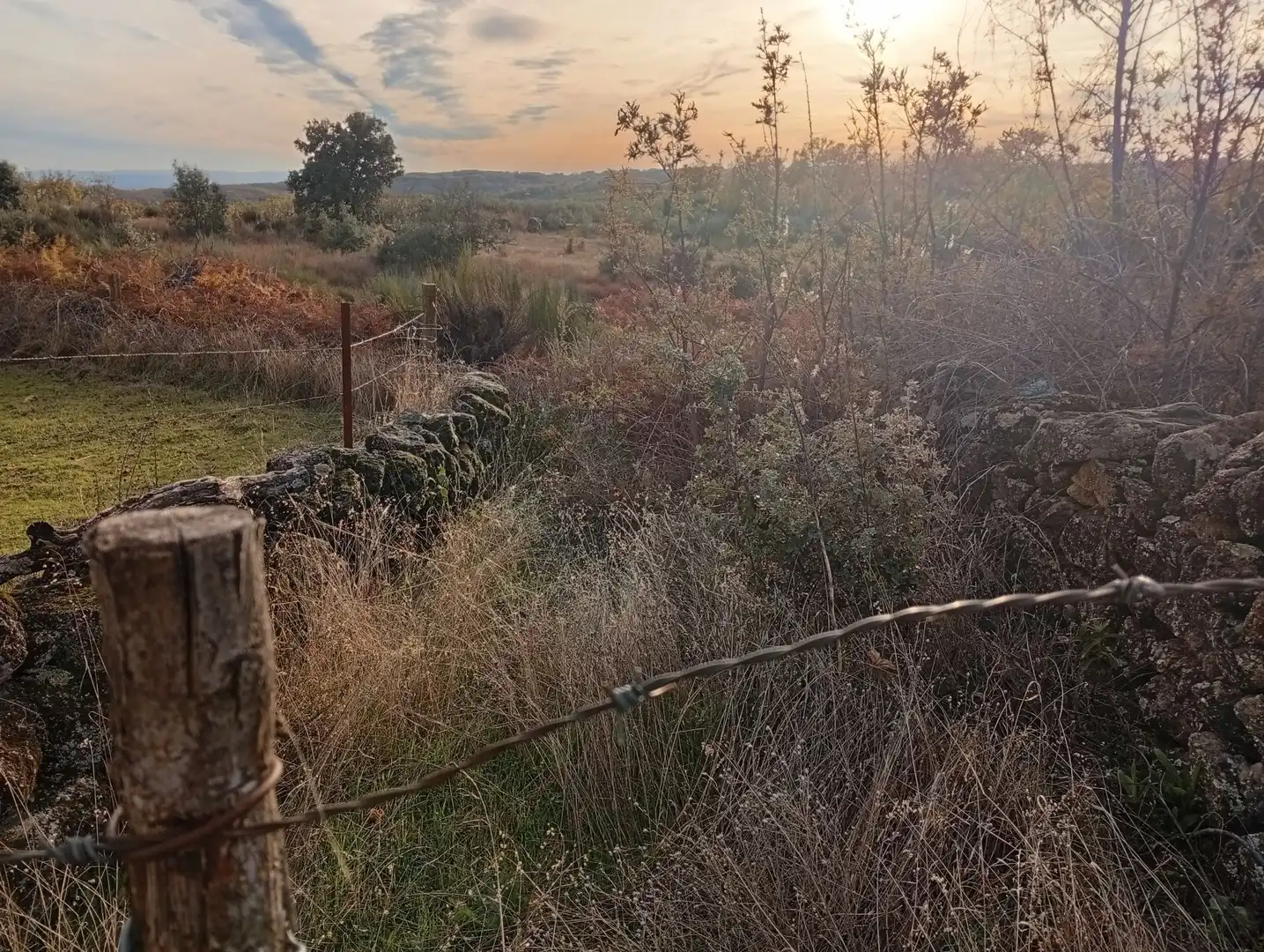 Terreni e lotti in vendita a Viandar de la Vera, imagen 24