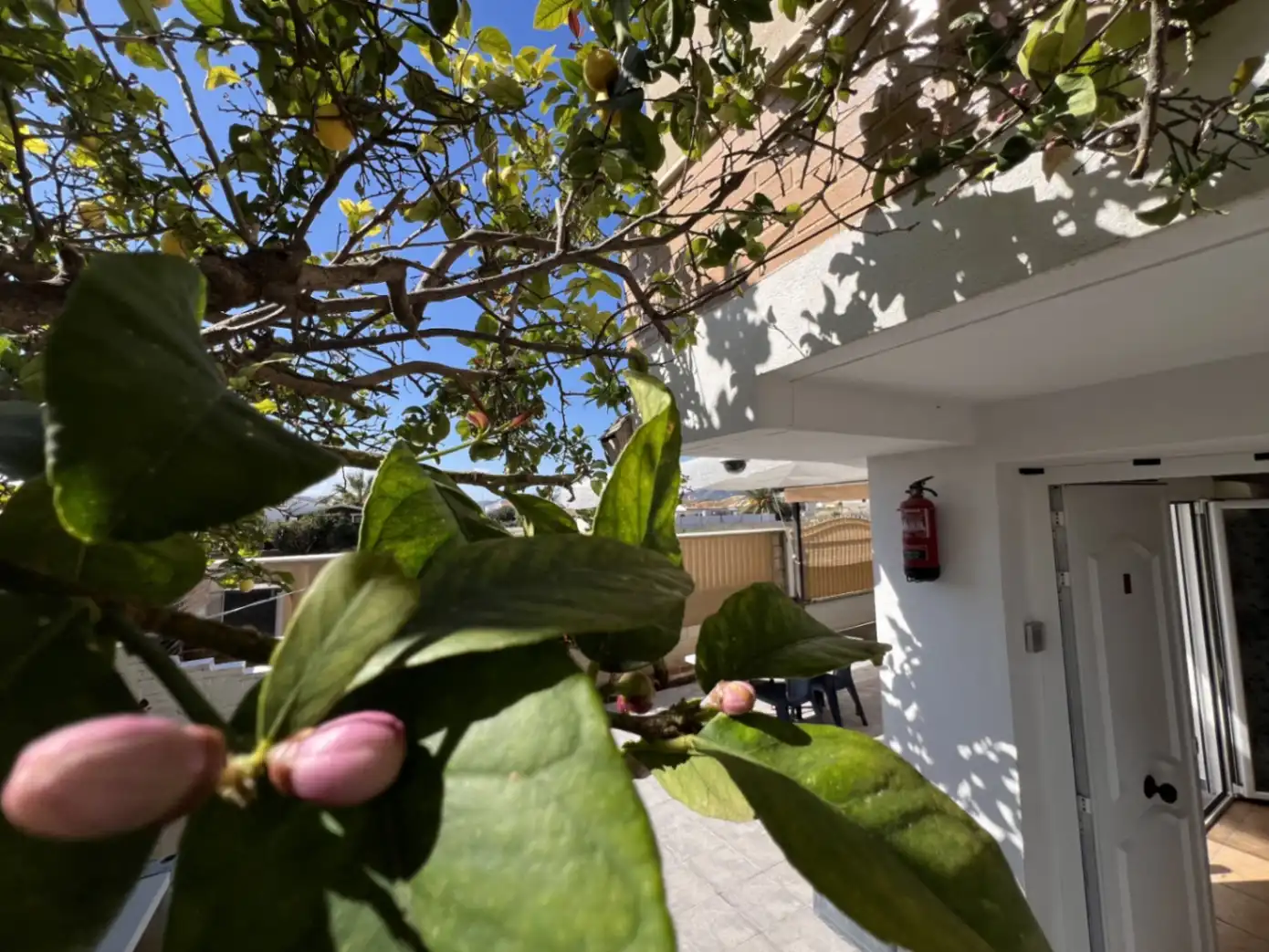 Jardí de Casa o xalet en venda en Oliva