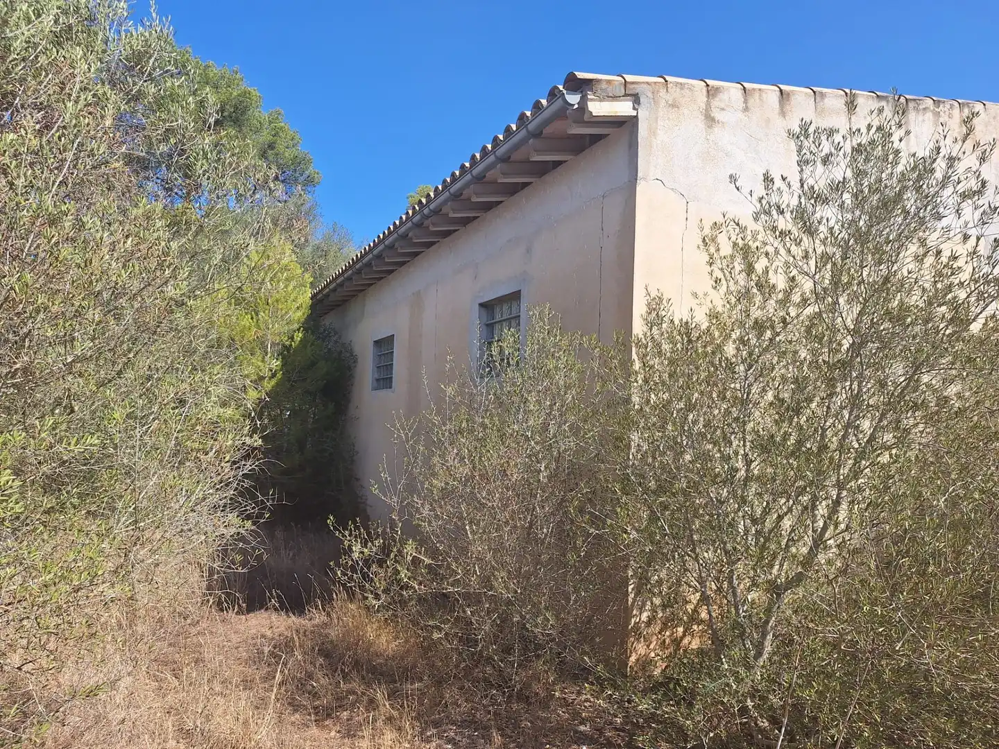 Terreno rustico in vendita a Algaida, imagen 10