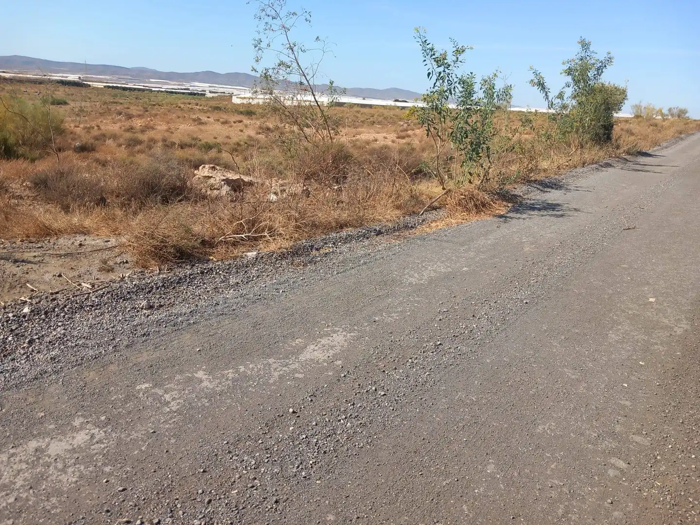 Terreny rústic en venda a San Isidro - Campohermoso, imagen 2