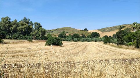 Finca Rúst. en venta en Algodonales.