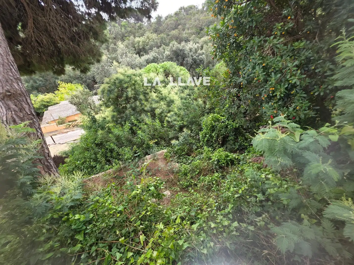 Casa o xalet en venda en Lloret de Mar amb Terrassa i Traster
