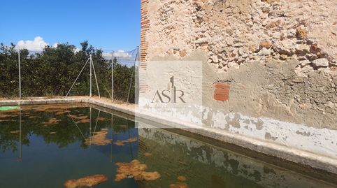 FINCA RUSTICA EN LA PEDRERA DE CARCAIXENT, immagine 4