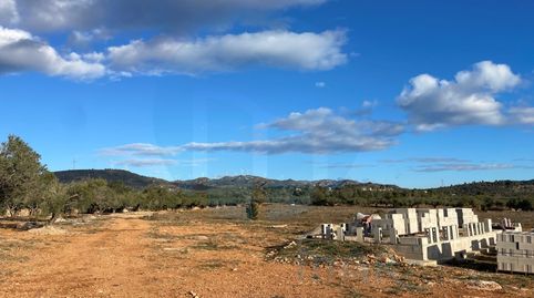 Foto 4 de Finca rústica en venta en Camarles, Tarragona
