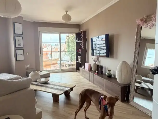 Wohnzimmer von Dachboden zum Verkauf in San Luis