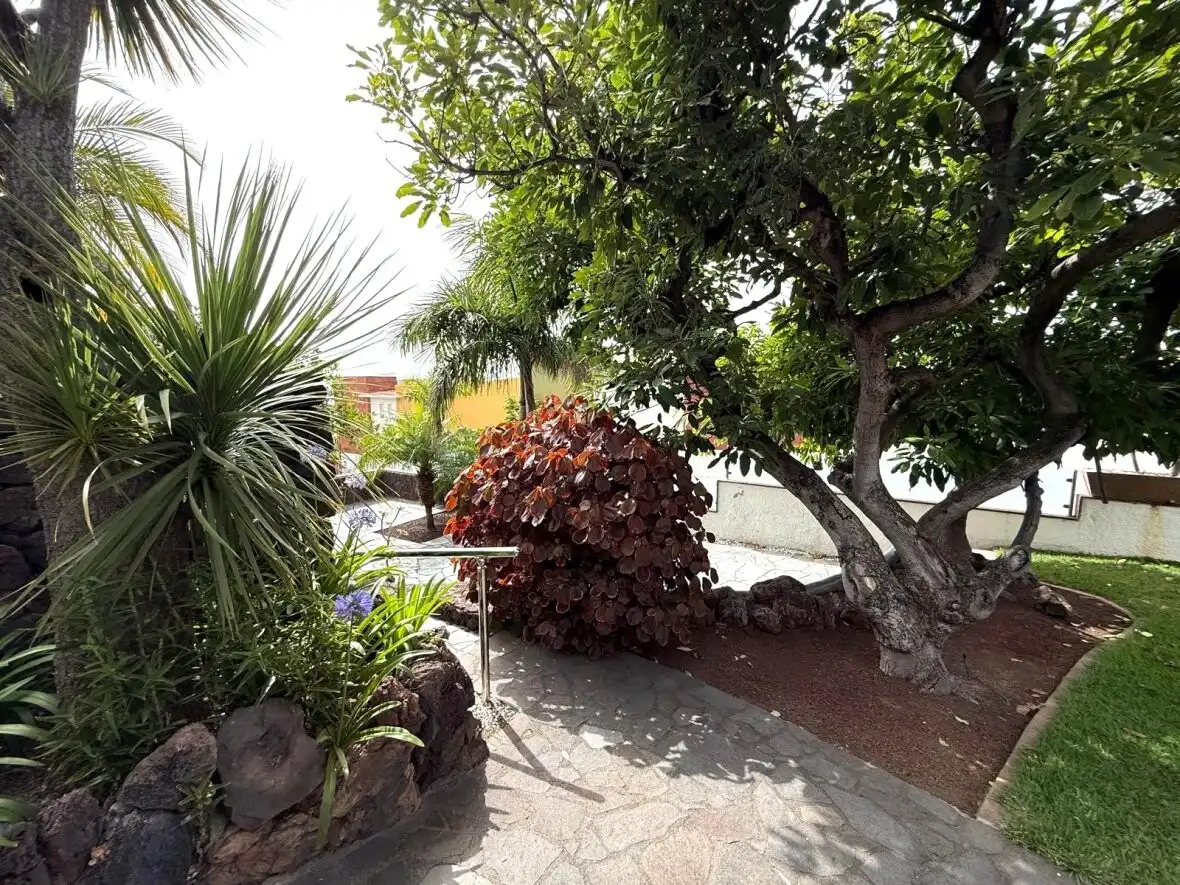 Jardí de Casa o xalet en venda en La Matanza de Acentejo amb Terrassa