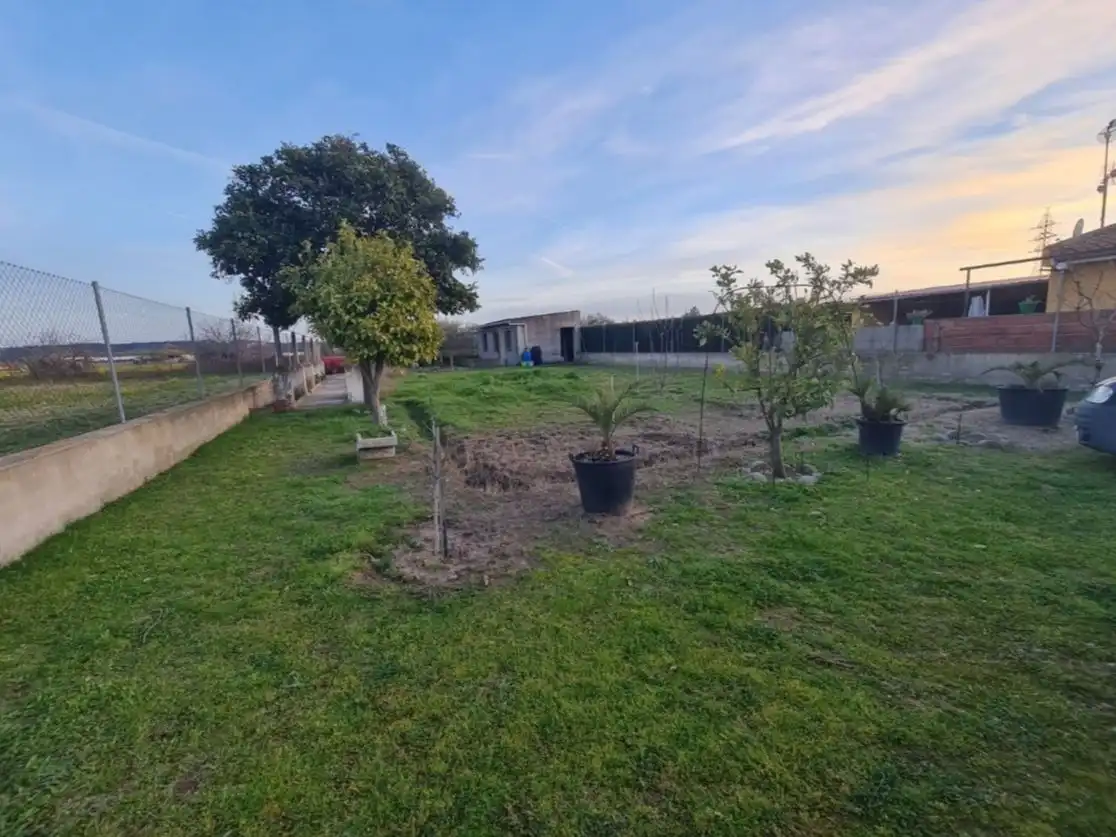 Terreno rústico en venta en Carretera Calera 1000, imagen 11