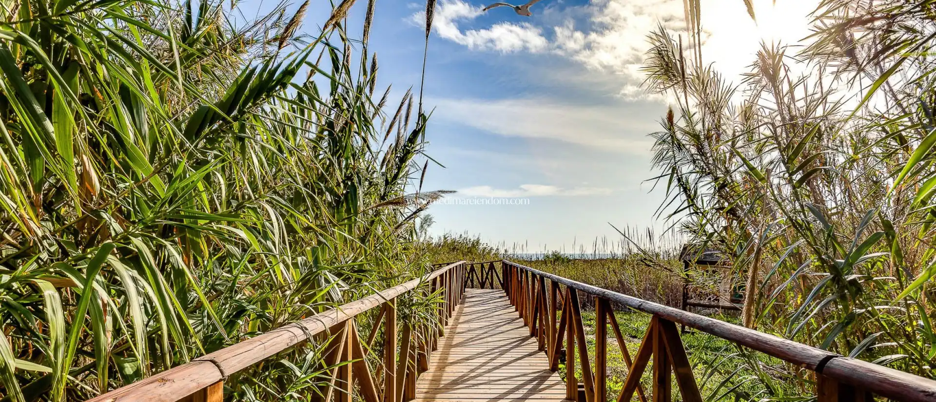 Vista exterior de Apartament en venda en Santa Pola amb Aire condicionat, Calefacció i Terrassa