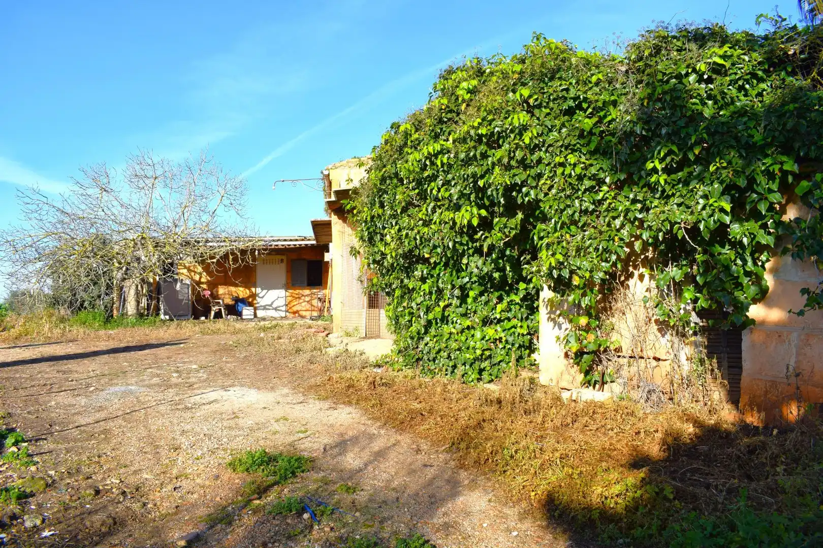 Casa rústica en venta en Muro, imagen 28