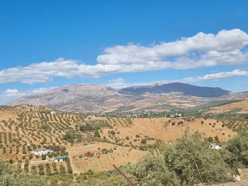 Casa en venda a Camino de Carratraca 1, imagen 3