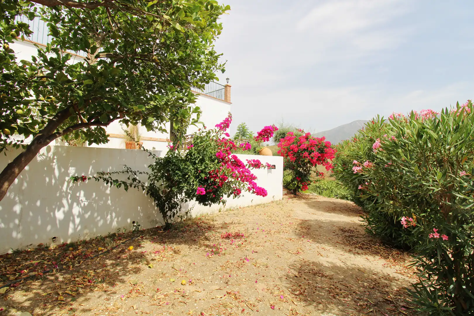 Jardín de Finca rústica en venta en Mijas con Aire acondicionado, Calefacción y Jardín privado