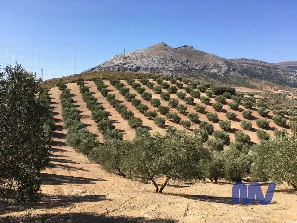 Terrenys i solars en venda a Partido Vega Baja, Valle de Abdalagís, imagen 2
